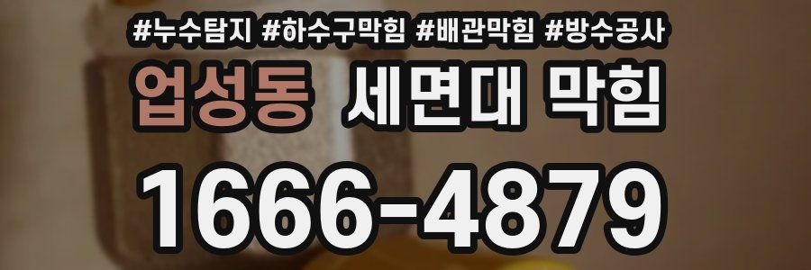 업성동 세면대 막힘