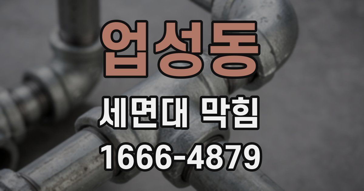 업성동 세면대 막힘