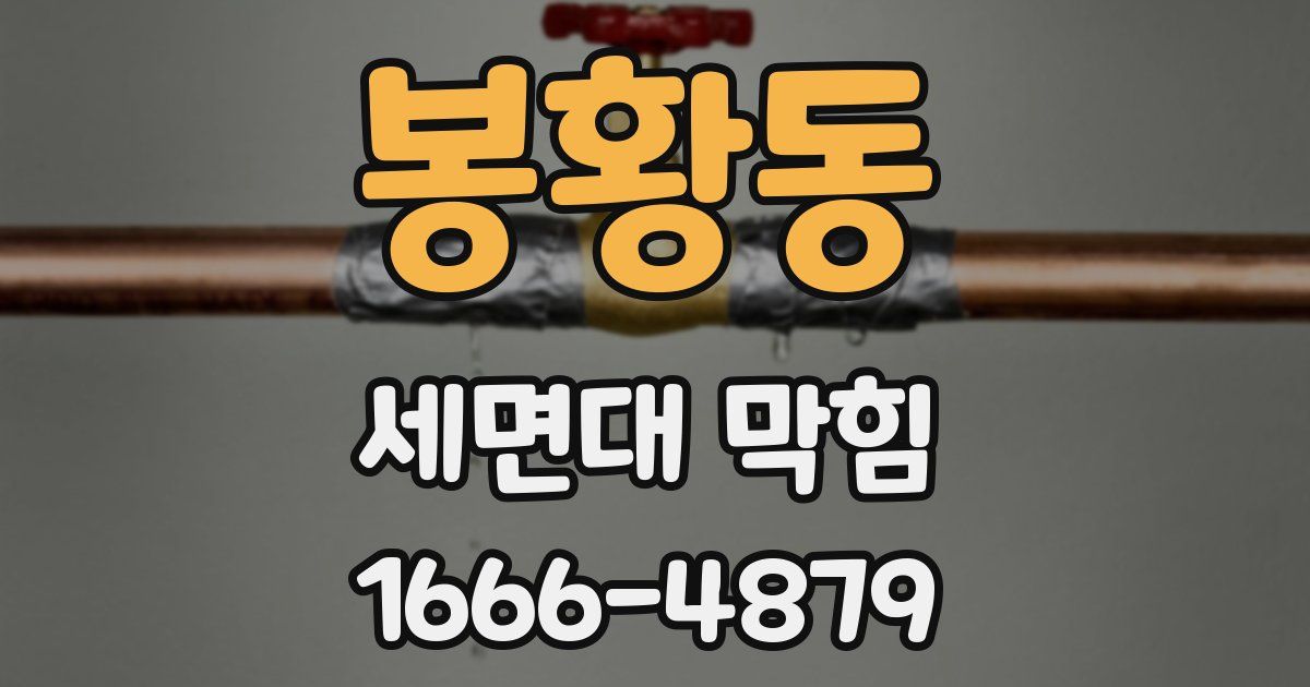 봉황동 세면대 막힘
