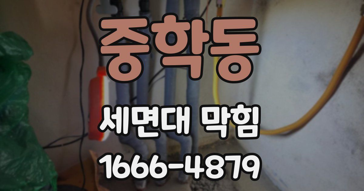 중학동 세면대 막힘