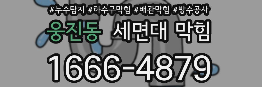 웅진동 세면대 막힘