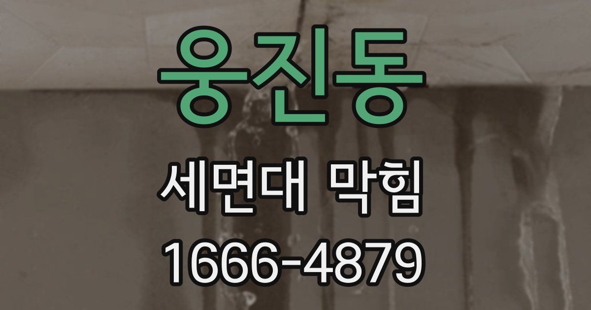 웅진동 세면대 막힘