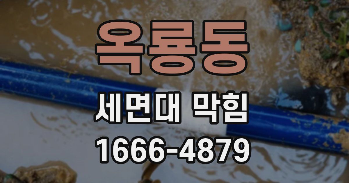 옥룡동 세면대 막힘