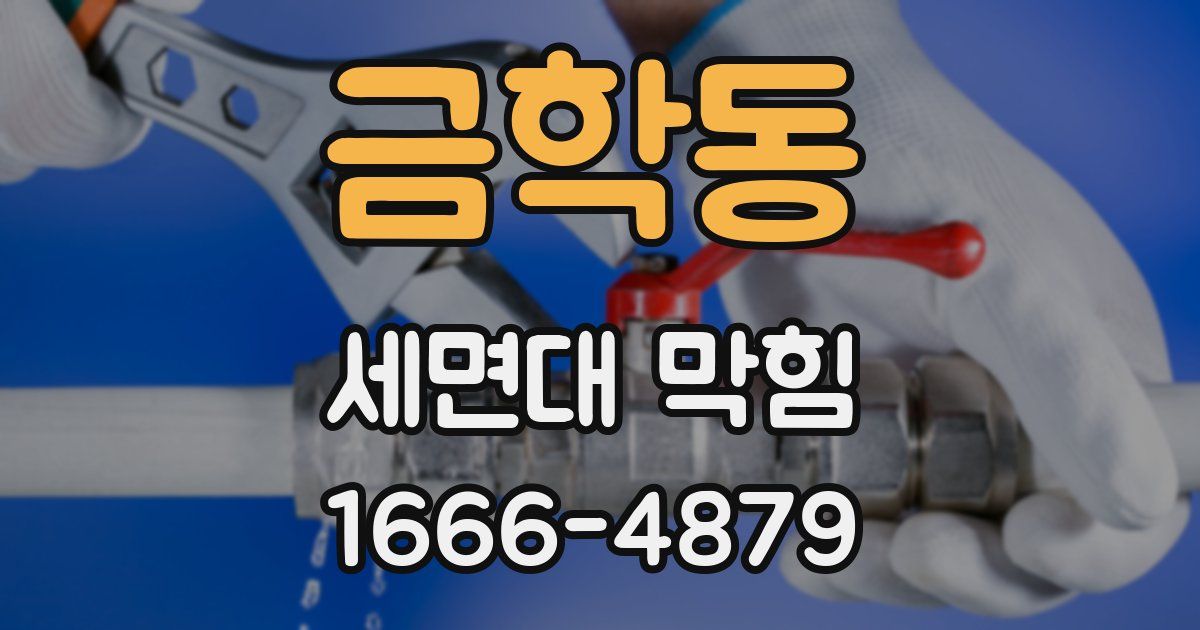 금학동 세면대 막힘