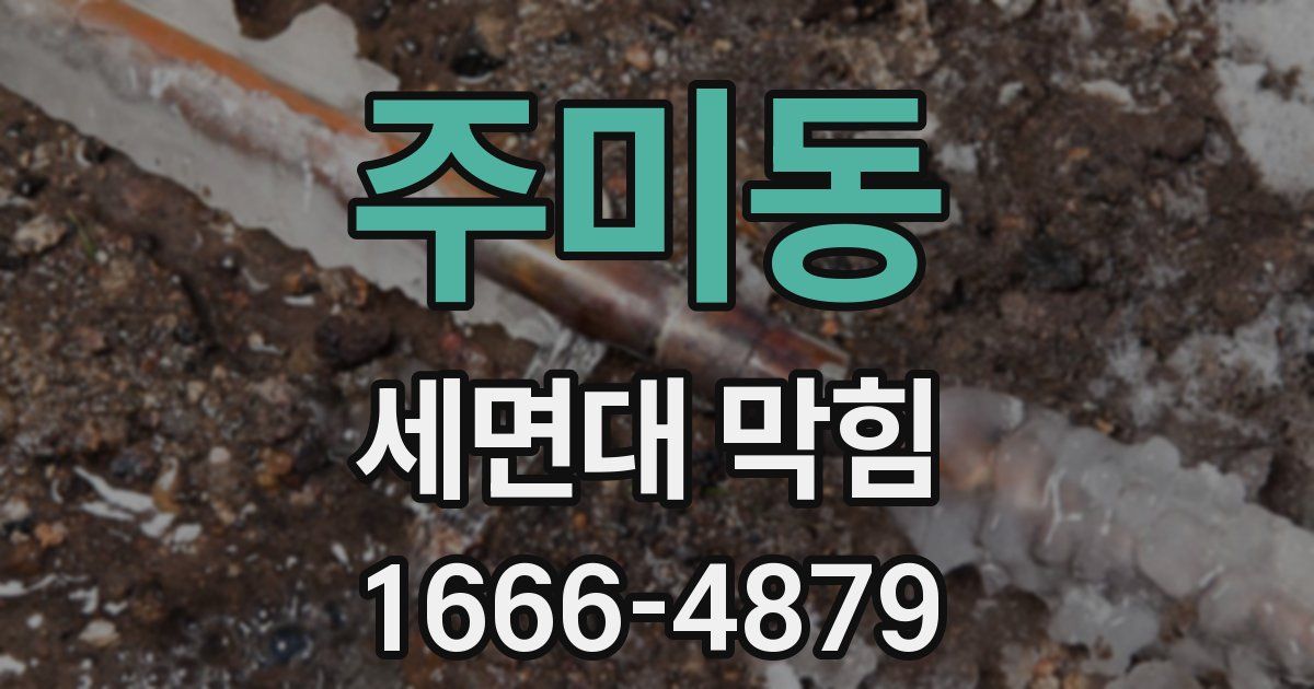 주미동 세면대 막힘