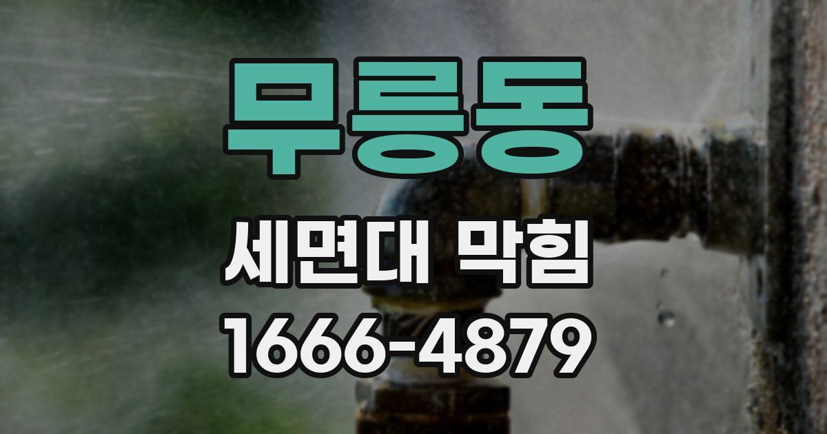 무릉동 세면대 막힘