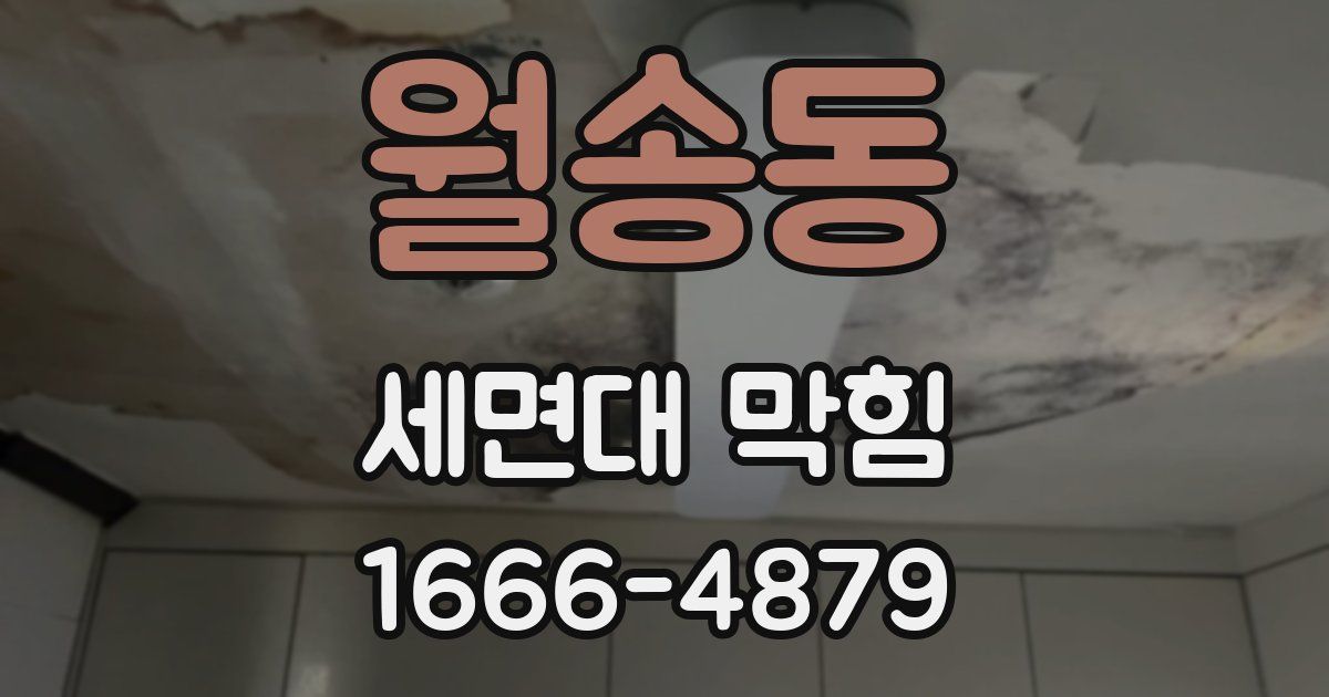 월송동 세면대 막힘