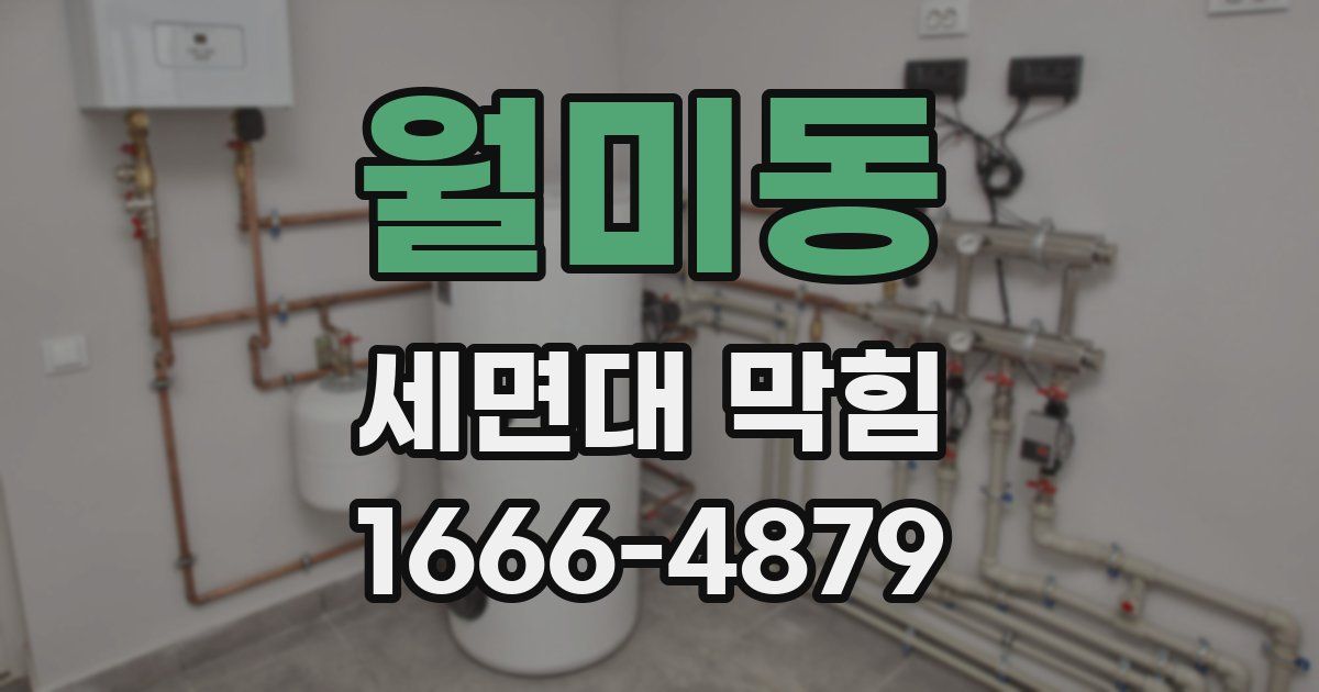 월미동 세면대 막힘