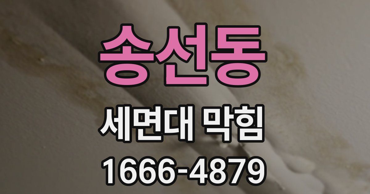 송선동 세면대 막힘