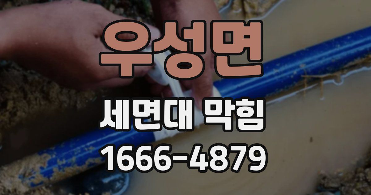 우성면 세면대 막힘