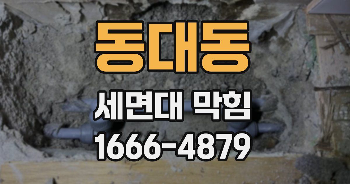 동대동 세면대 막힘