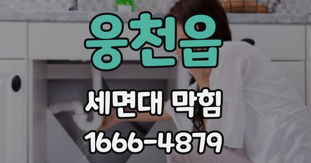 웅천읍 세면대 막힘
