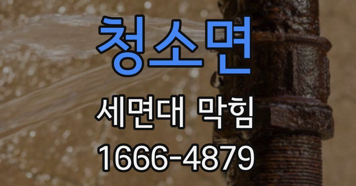 청소면 세면대 막힘