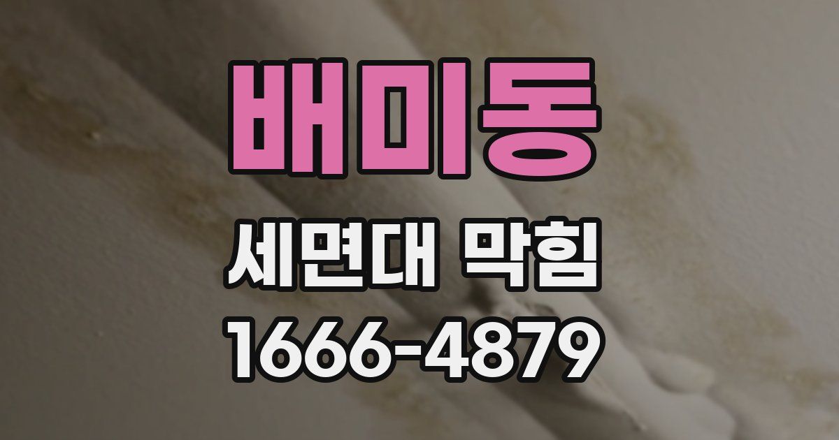 배미동 세면대 막힘