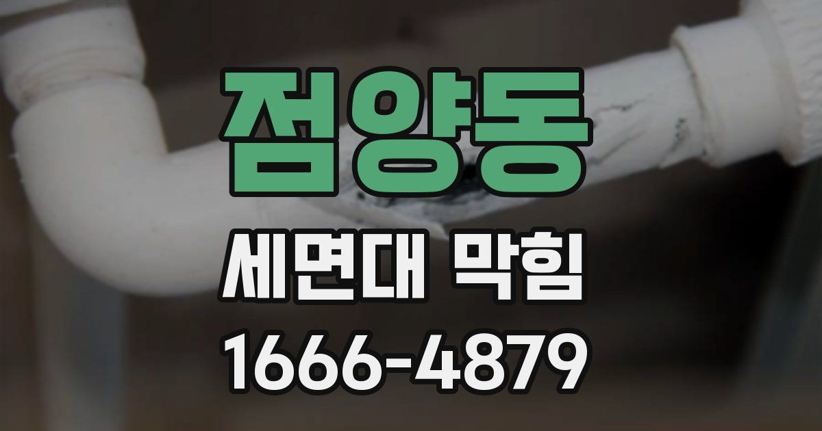 점양동 세면대 막힘