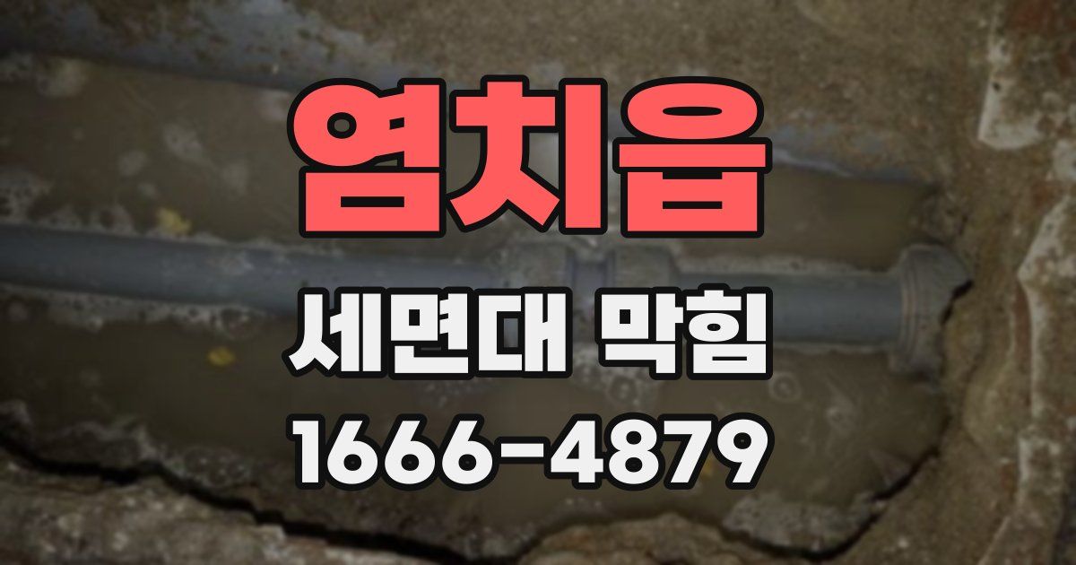 염치읍 세면대 막힘