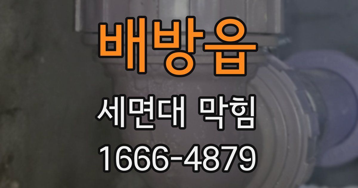 배방읍 세면대 막힘