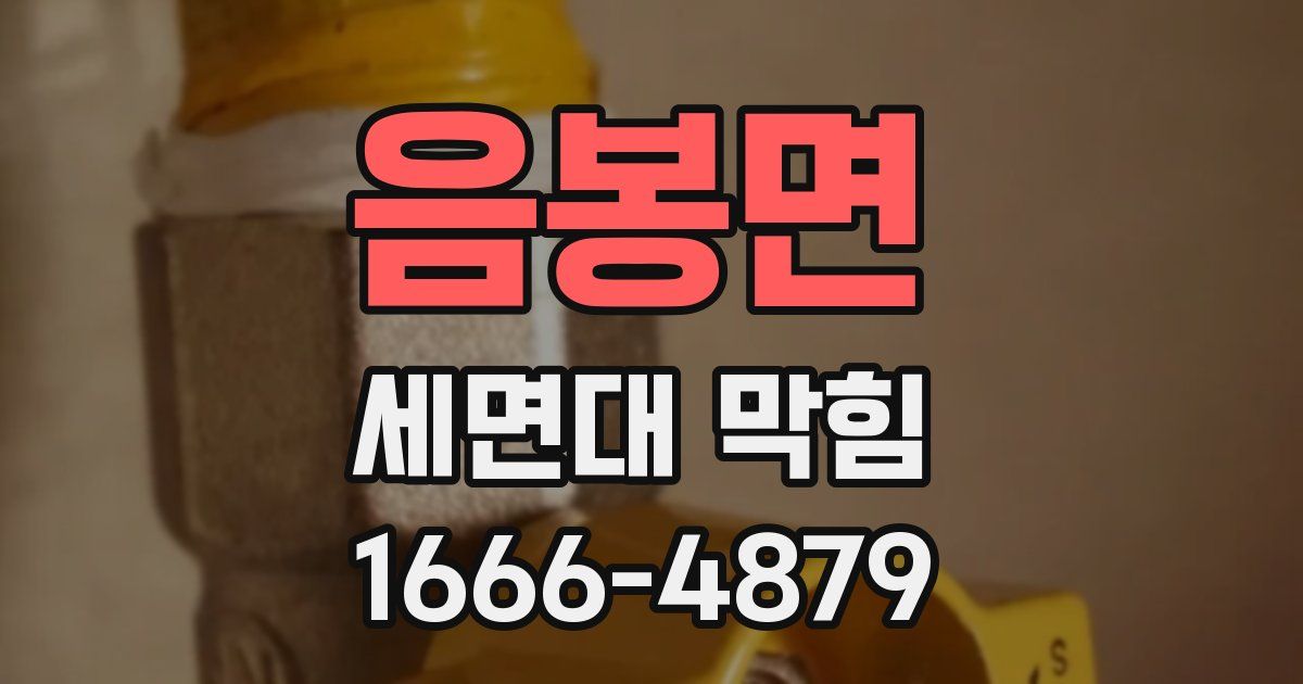 음봉면 세면대 막힘