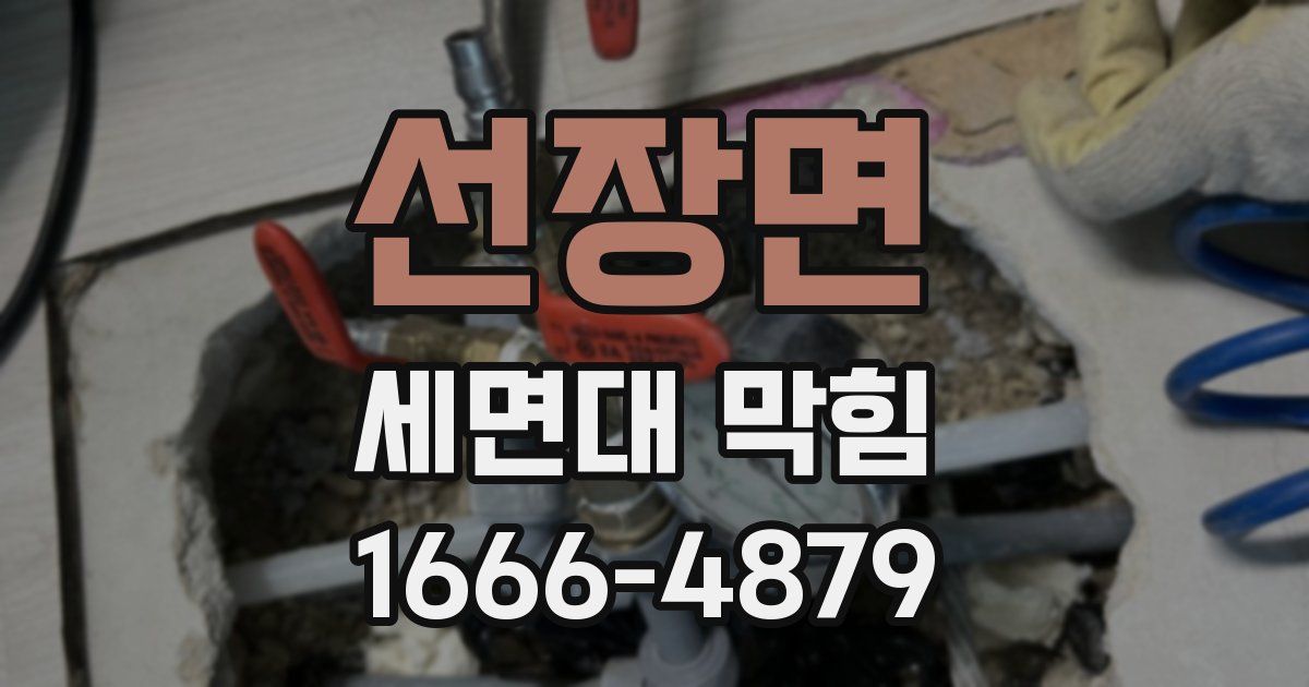 선장면 세면대 막힘