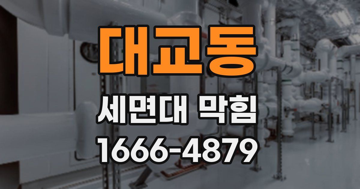 대교동 세면대 막힘