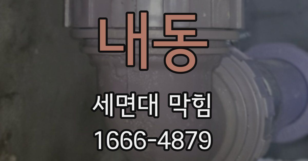 내동 세면대 막힘