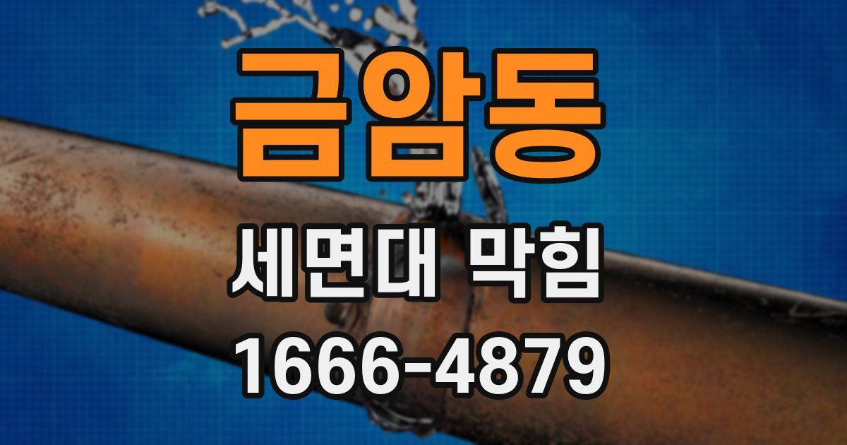 금암동 세면대 막힘