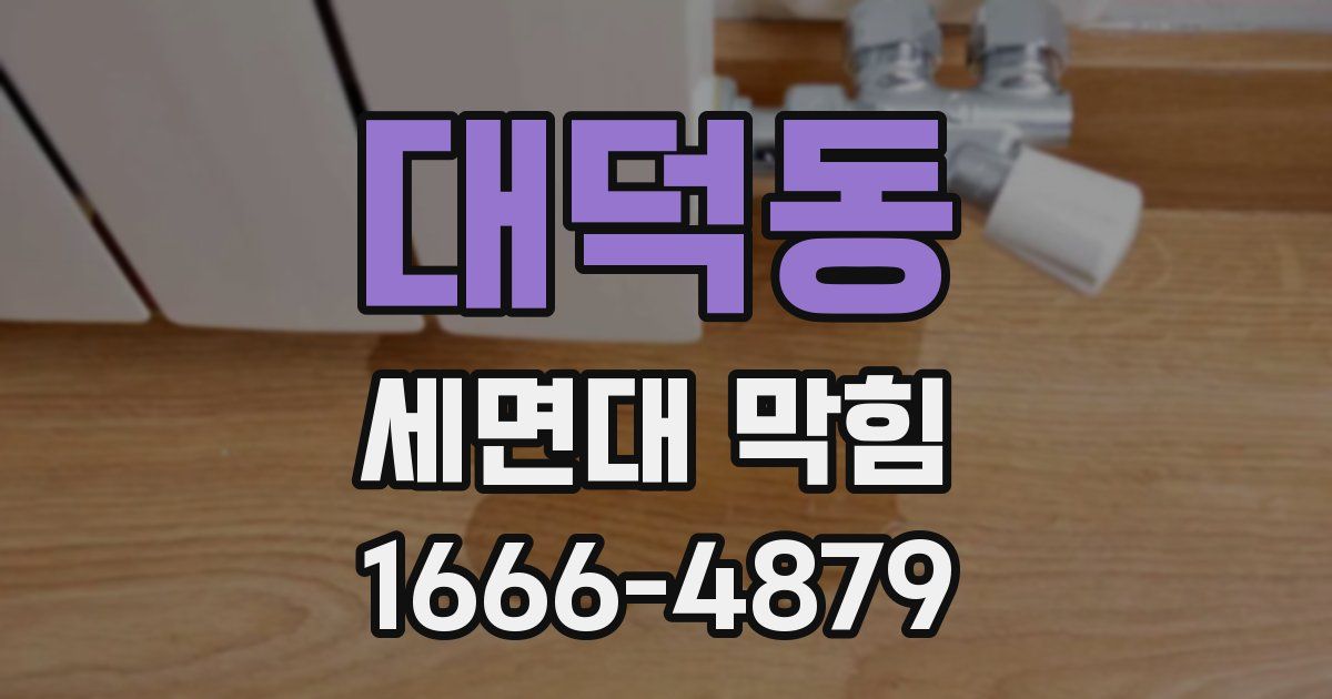 대덕동 세면대 막힘