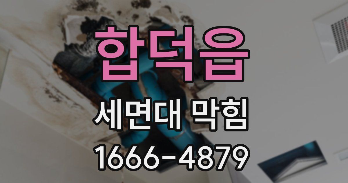 합덕읍 세면대 막힘