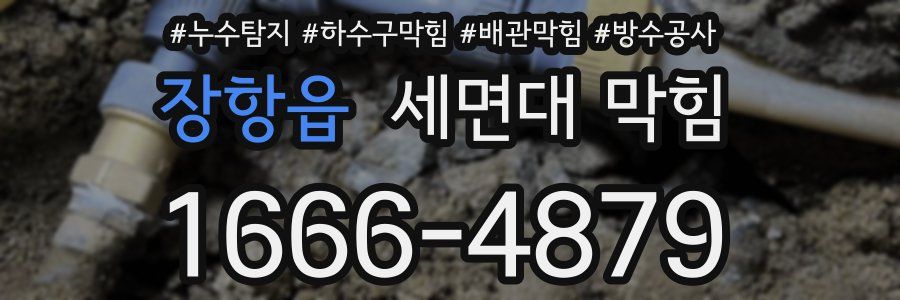 장항읍 세면대 막힘