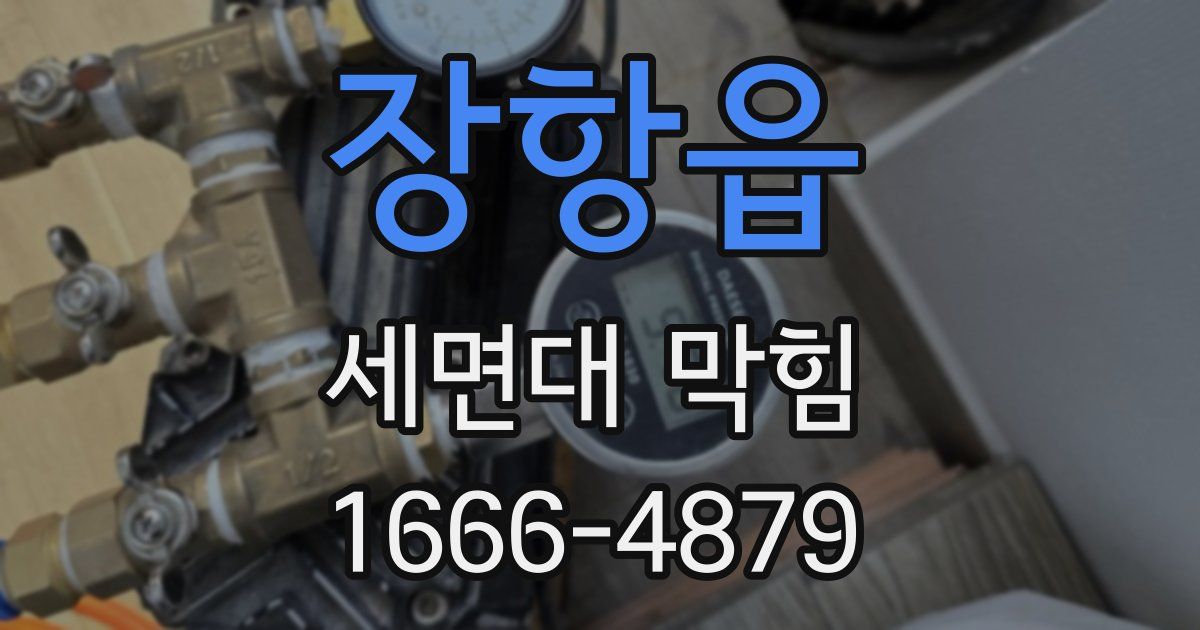 장항읍 세면대 막힘