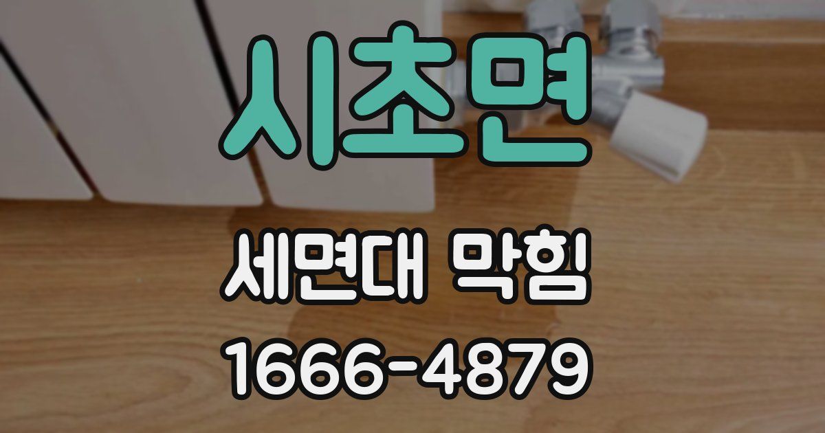 시초면 세면대 막힘
