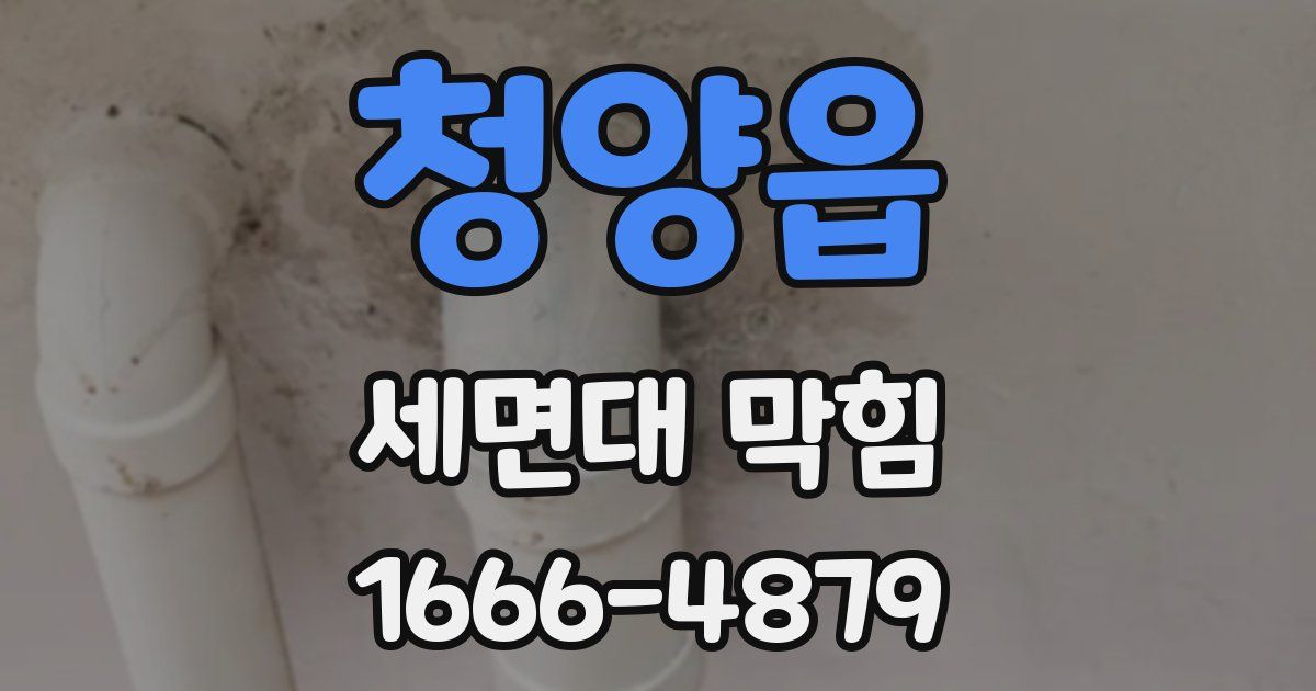 청양읍 세면대 막힘