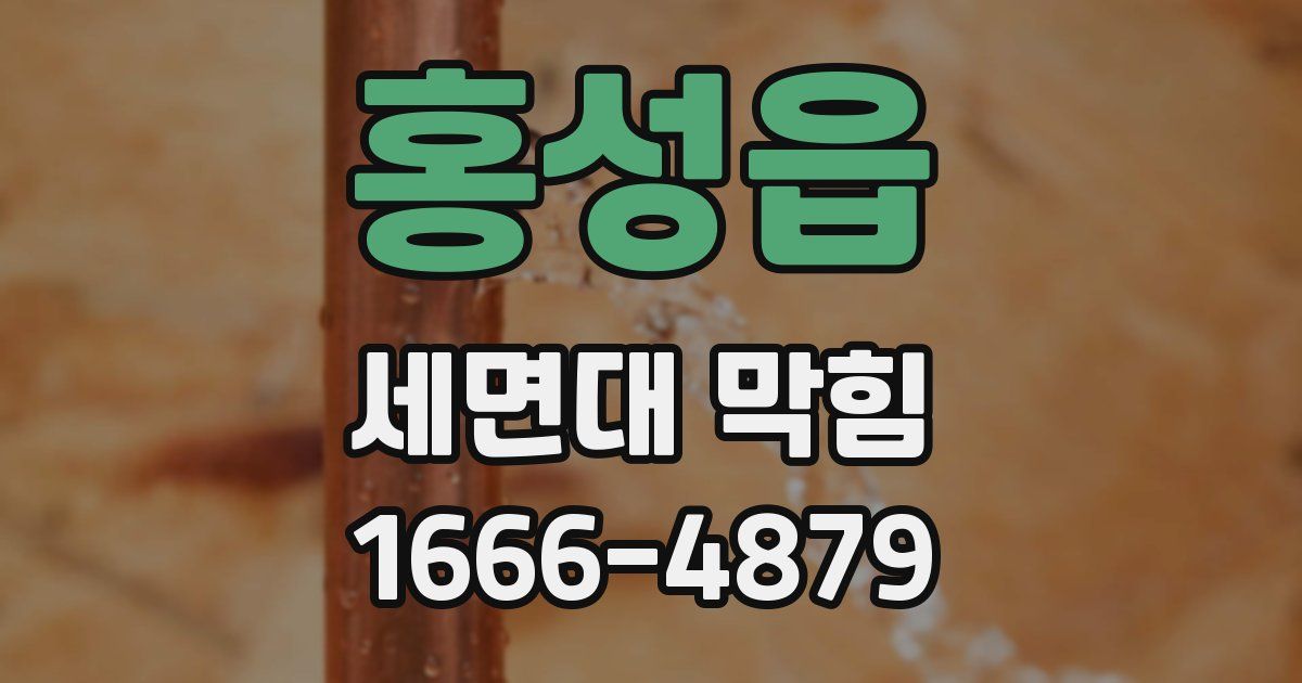 홍성읍 세면대 막힘