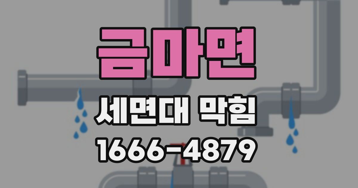 금마면 세면대 막힘