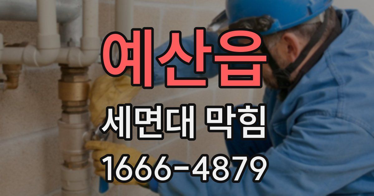 예산읍 세면대 막힘