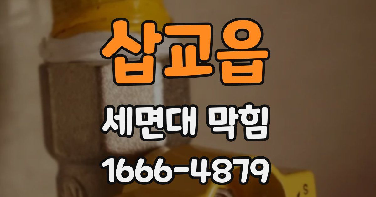 삽교읍 세면대 막힘