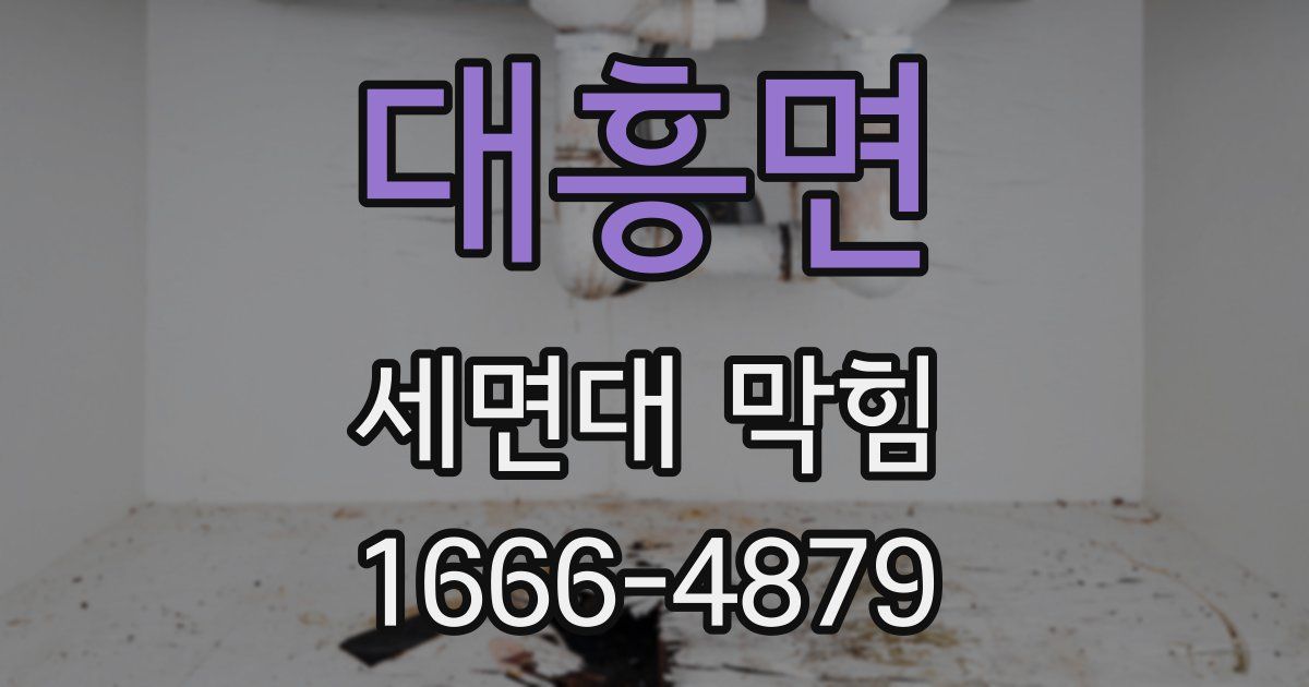 대흥면 세면대 막힘