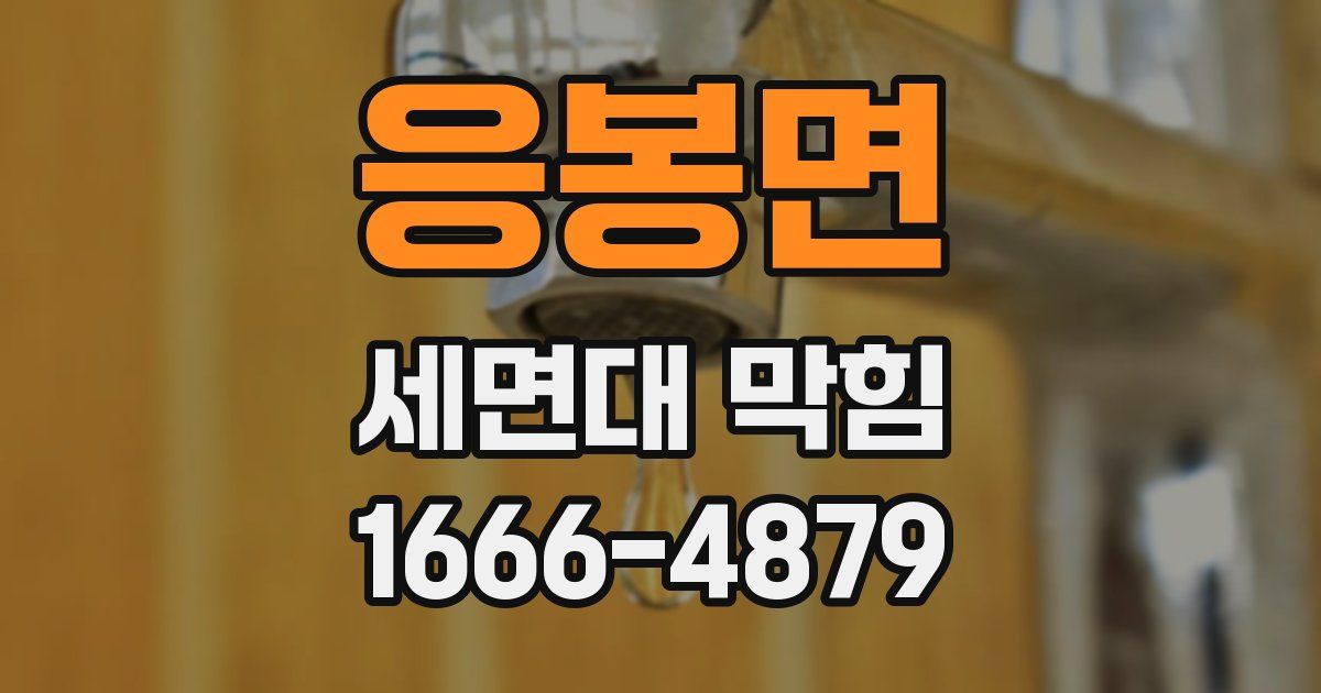 응봉면 세면대 막힘