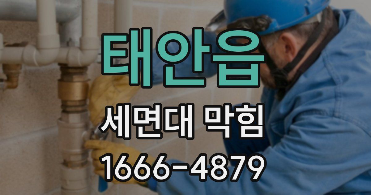 태안읍 세면대 막힘