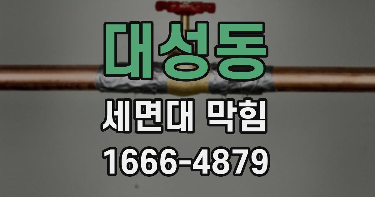 대성동 세면대 막힘