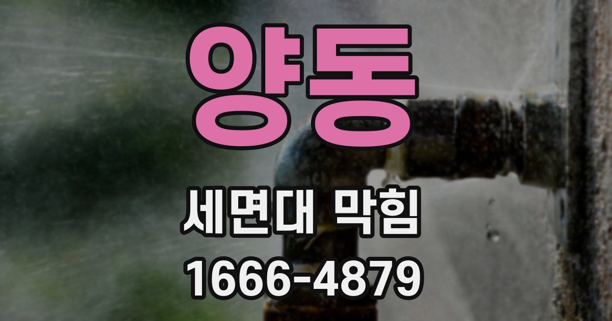 양동 세면대 막힘
