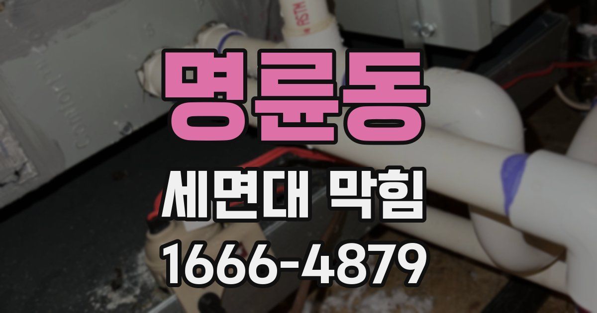 명륜동 세면대 막힘