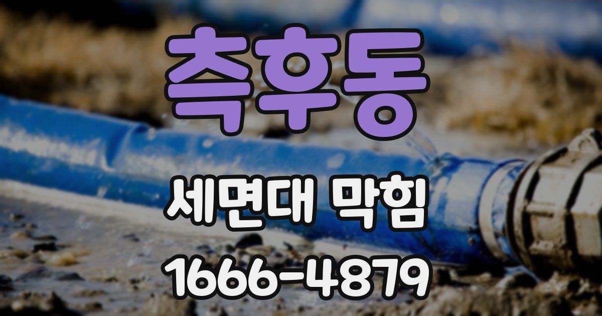 측후동 세면대 막힘