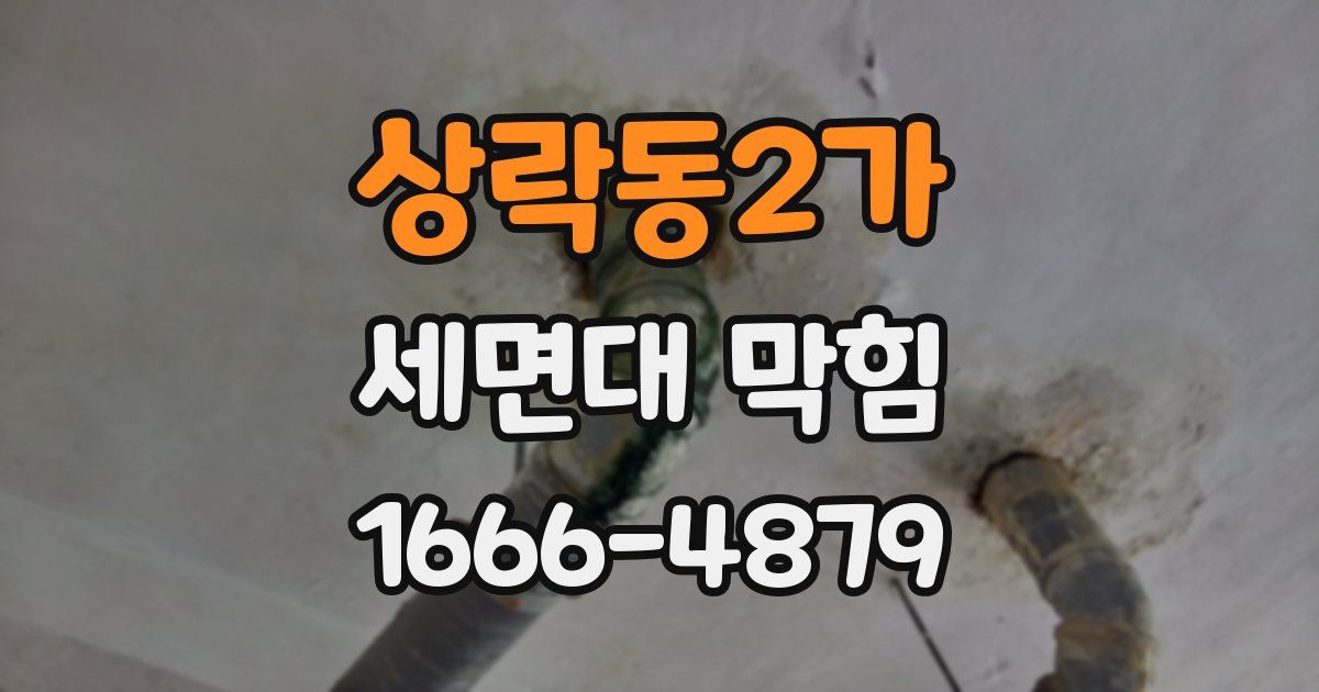 상락동2가 세면대 막힘
