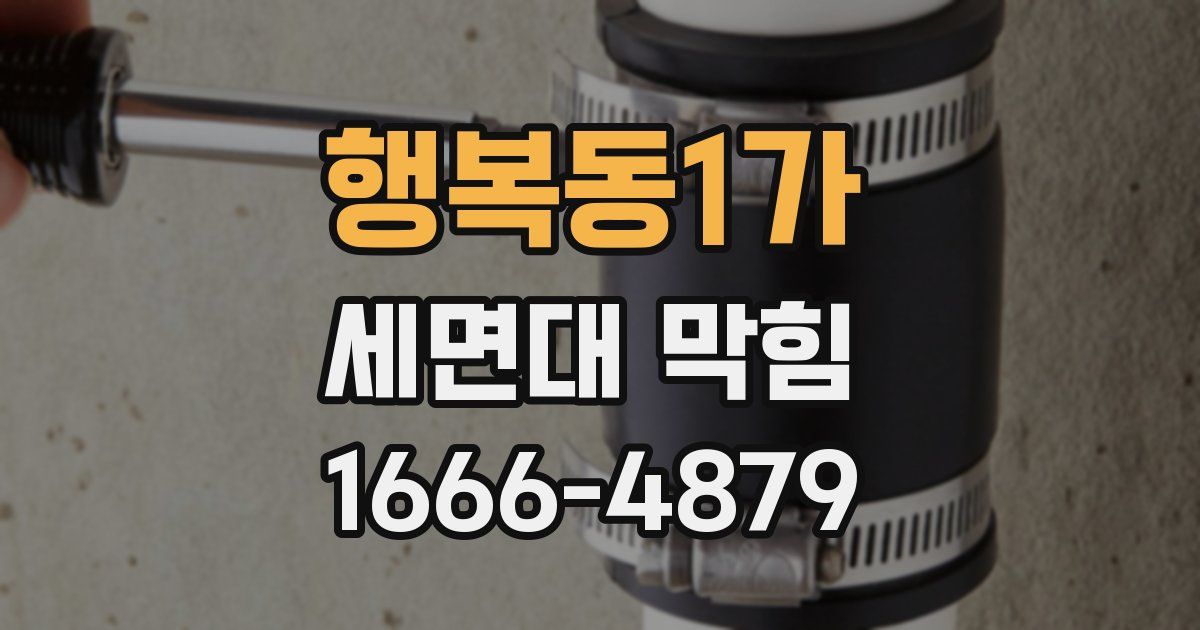 행복동1가 세면대 막힘