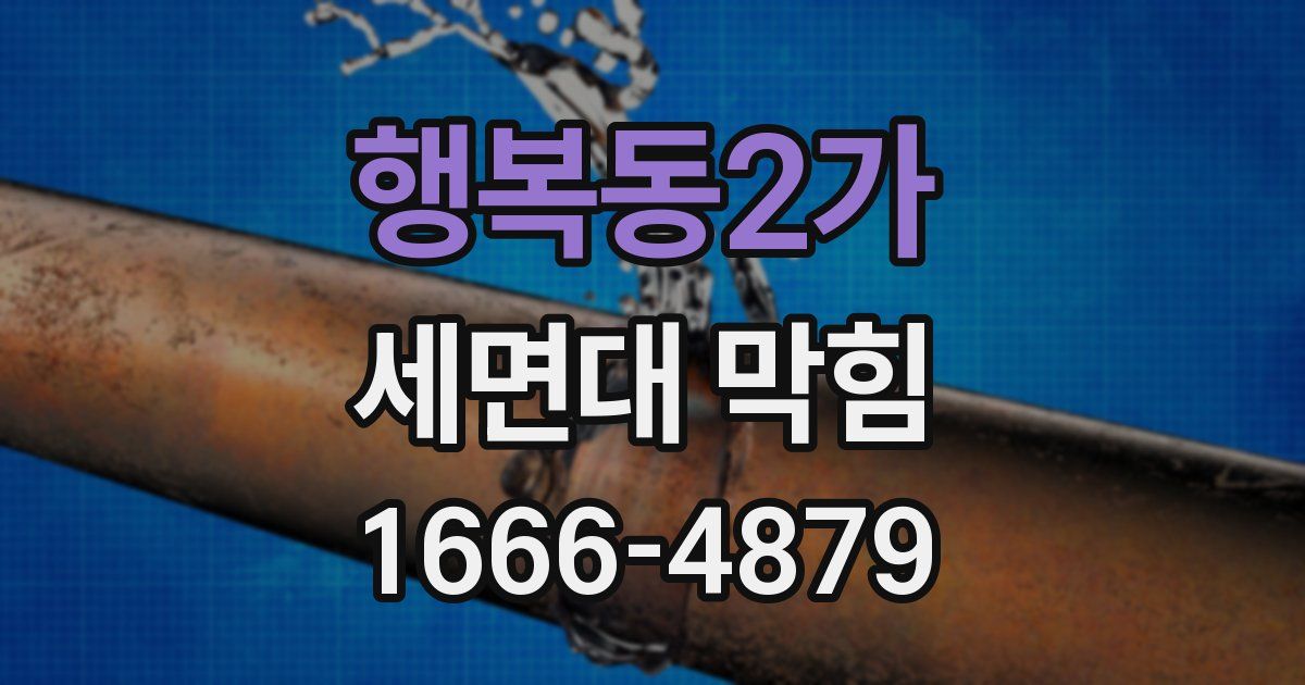 행복동2가 세면대 막힘