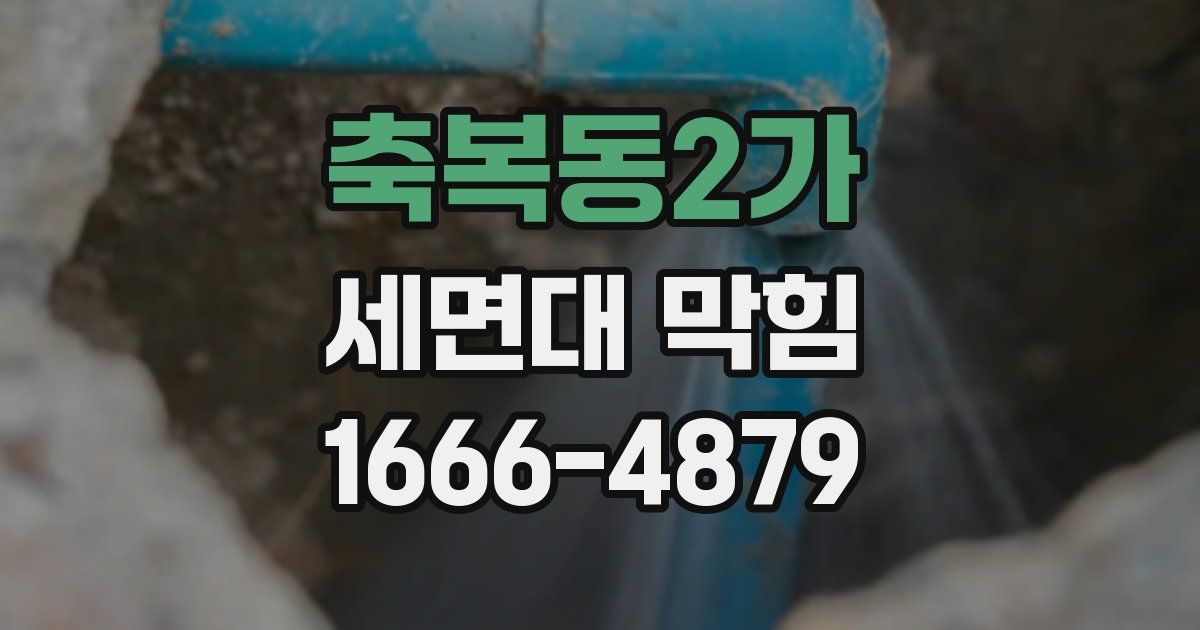 축복동2가 세면대 막힘