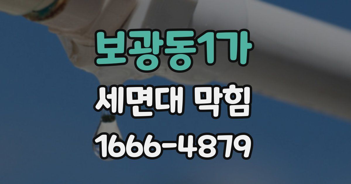 보광동1가 세면대 막힘