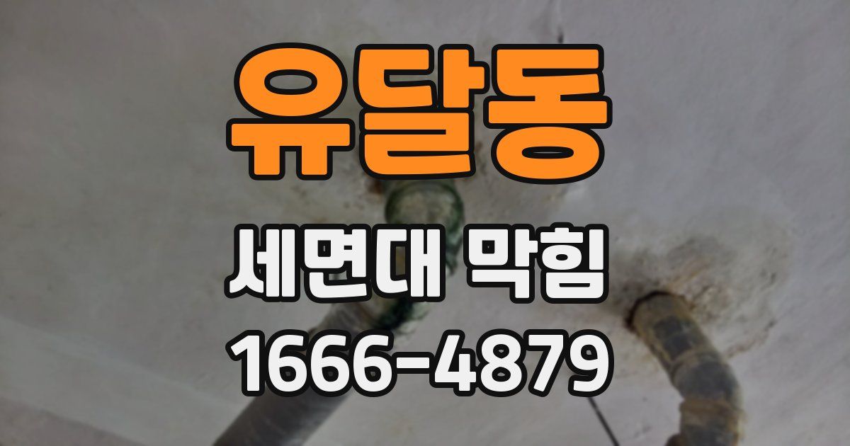 유달동 세면대 막힘