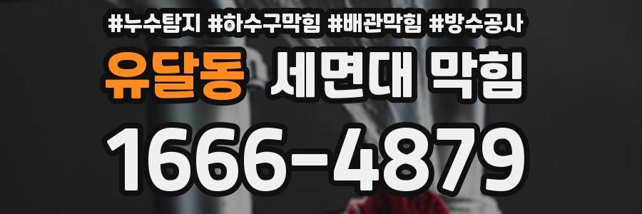 유달동 세면대 막힘